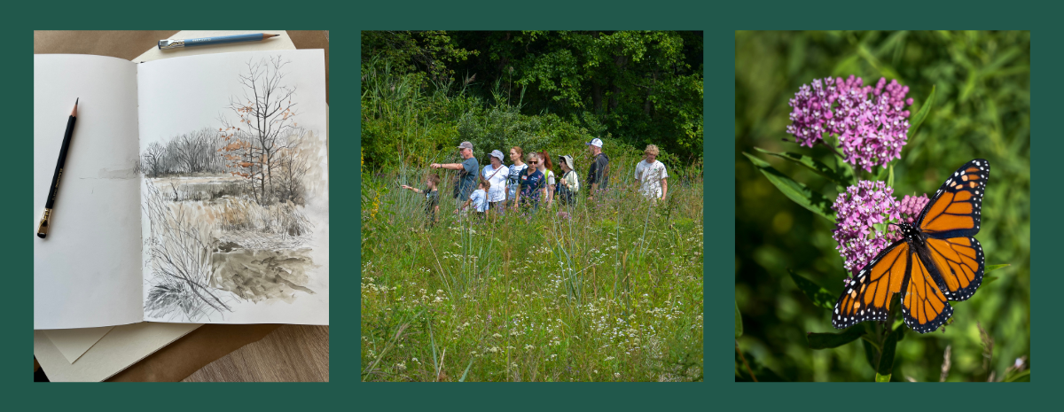 Membership Appreciation #2 | Summer Nature Celebration: Pollinators, Plants, & Nature Journaling